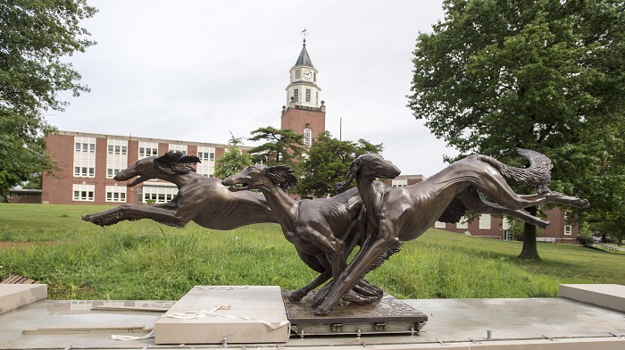 Saluki Alumni Statue