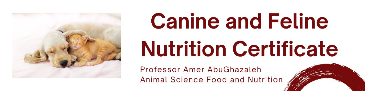 Canine and Feline Nutrition Certificate | Continuing Education | SIU